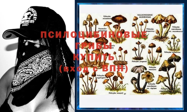 MDMA Абаза