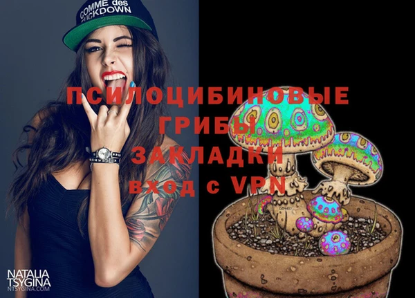 мяу мяу мука Кинешма